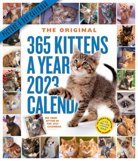 365 KittensAYear PictureADay Wall Calendar 2023 by Workman