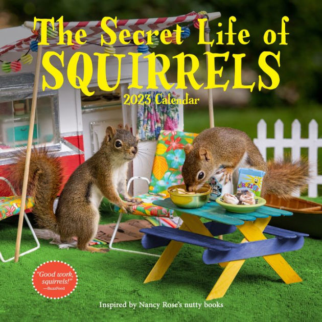 the-secret-life-of-squirrels-wall-calendar-2023-wild-squirrels-interacting-with-handcrafted