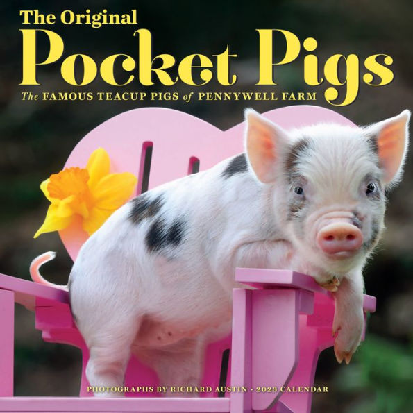 Pocket Pigs Wall Calendar 2023 by Workman Calendars Barnes & Noble®