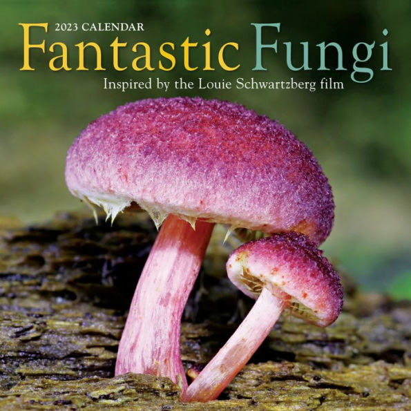 2023 Fantastic Fungi Wall Calendar by Workman Calendars Barnes & Noble®