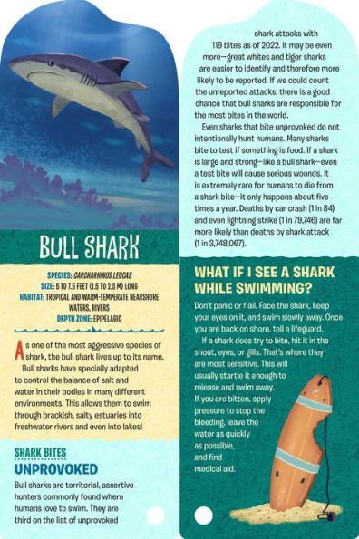 Fandex Kids: Sharks: Facts That Fit in Your Hand: 51 Sharks, Prehistoric Predators, and More Inside!