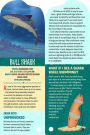 Alternative view 2 of Fandex Kids: Sharks: Facts That Fit in Your Hand: 51 Sharks, Prehistoric Predators, and More Inside!