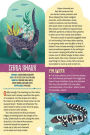 Alternative view 3 of Fandex Kids: Sharks: Facts That Fit in Your Hand: 51 Sharks, Prehistoric Predators, and More Inside!