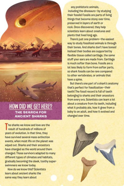 Fandex Kids: Sharks: Facts That Fit in Your Hand: 51 Sharks, Prehistoric Predators, and More Inside!