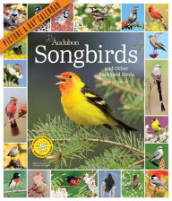 Title: Audubon Songbirds and Other Backyard Birds Picture-A-Day Wall Calendar 2024: A Beautiful Bird Filled Way to Keep Track of 2024