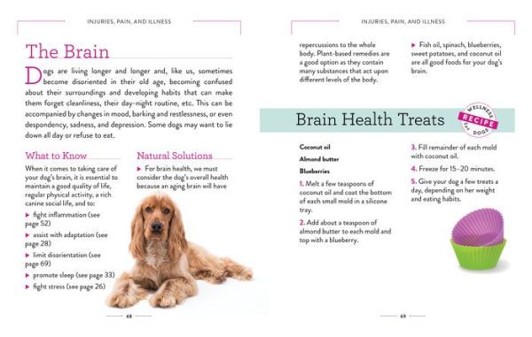 Wellness for Dogs: A Guide for Health, Hygiene, and Happiness