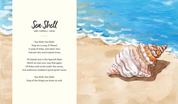 Searching for Seashells: An Artist's Guide to Treasures on the Beach