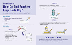 Alternative view 4 of Turn This Book Into a Bird Feeder!: And 19 Other Activities to Explore the Amazing World of Birds
