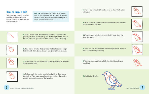 Turn This Book Into a Bird Feeder!: And 19 Other Activities to Explore the Amazing World of Birds
