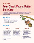 Alternative view 7 of Turn This Book Into a Bird Feeder!: And 19 Other Activities to Explore the Amazing World of Birds
