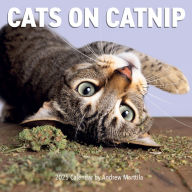 Title: Cats on Catnip Wall Calendar 2025