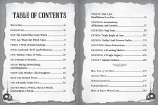 Alternative view 2 of Did You Hear What Happened in Salem?: The Witch Trials of 1692