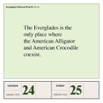Alternative view 4 of 2026 National Parks Page-A-Day Calendar