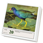 Alternative view 6 of 2026 National Parks Page-A-Day Calendar