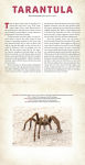 Alternative view 2 of Bugs: A Photicular Book