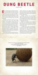 Alternative view 3 of Bugs: A Photicular Book