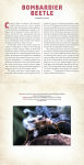 Alternative view 4 of Bugs: A Photicular Book