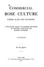 Commercial Rose Culture, Under Glass and Outdoors