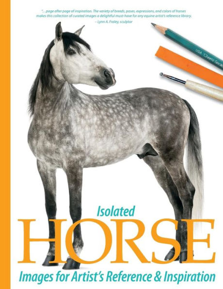 Isolated Horse Images for Artist's Reference and Inspiration