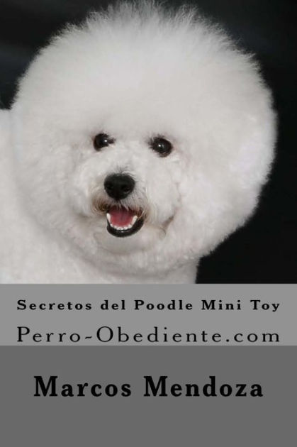 french poodle mini toy