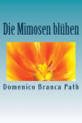 Die Mimosen blühen
