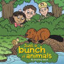 Just a bunch of animals