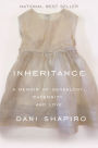 Inheritance: A Memoir of Genealogy, Paternity, and Love