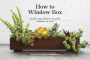 How to Window Box: Small-Space Plants to Grow Indoors or Out