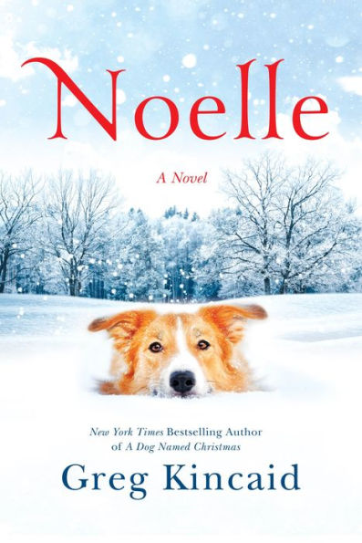 Noelle: A Novel