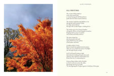 Alternative view 4 of Talk to Me Always: Poetry, Prose, and Photography