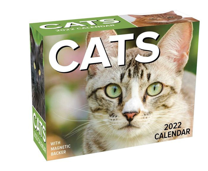 2022 Cats Mini DaytoDay Calendar by Andrews McMeel Publishing