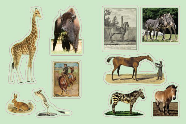 Cabinet of Curiosities: Over 1,000 Curated Stickers from the Fascinating Collections of the Smithsonian