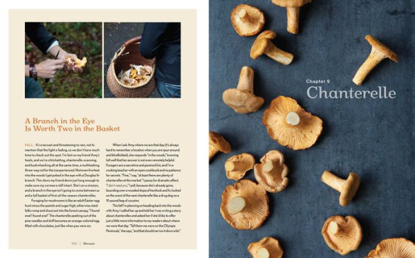 Shroom: Mind-bendingly Good Recipes for Cultivated and Wild Mushrooms