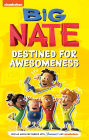 Big Nate: Destined for Awesomeness