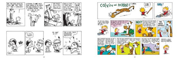 The Calvin and Hobbes Portable Compendium Set 3