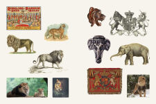 Alternative view 7 of Cabinet of Curiosities II: Over 1,000 Curated Stickers from the Fascinating Collections of the Smithsonian