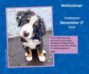 Alternative view 3 of 2026 WeRateDogs Day-to-Day Calendar