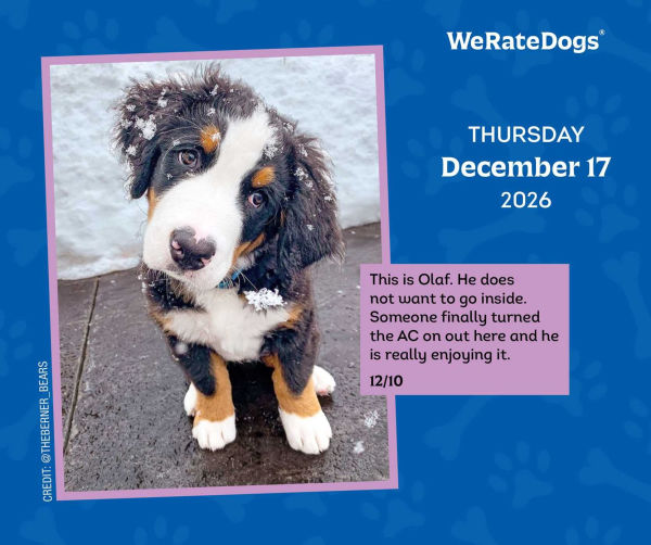 2026 WeRateDogs Day-to-Day Calendar