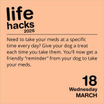 Alternative view 4 of 2026 Life Hacks Day-to-Day Calendar