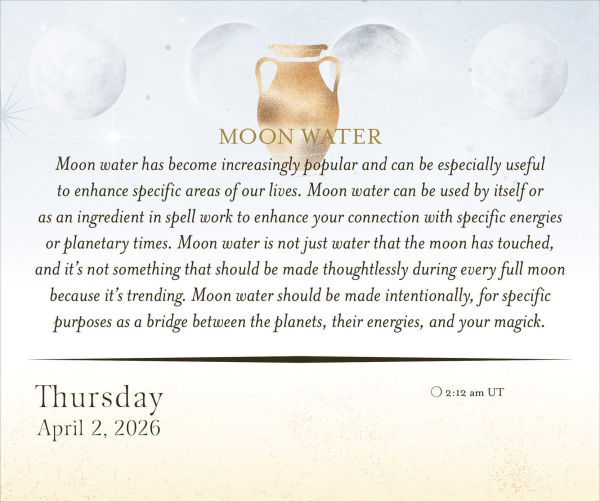 2026 Year of the Witch Day-to-Day Calendar