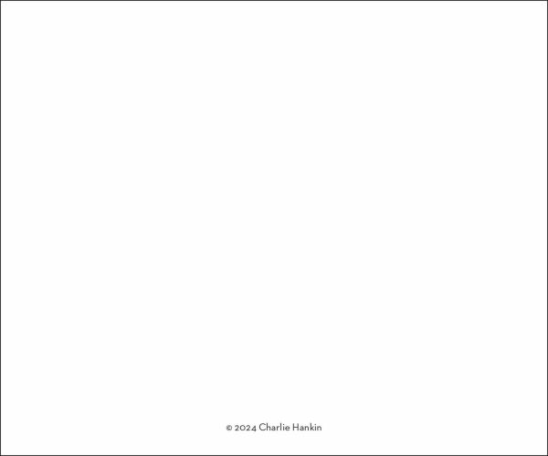 2026 Cartoons from The New Yorker Day-to-Day Calendar