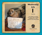 Alternative view 2 of 2026 Dog Shaming Day-to-Day Calendar