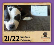 Alternative view 3 of 2026 Dog Shaming Day-to-Day Calendar