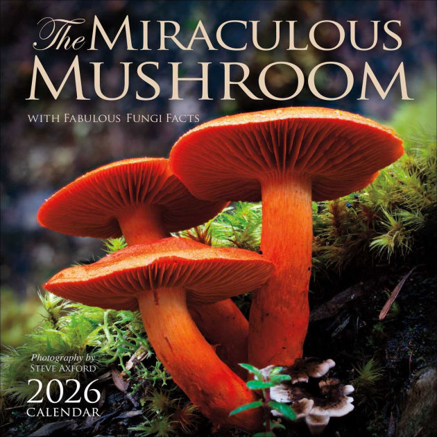 The Miraculous Mushroom 2026 Wall Calendar With Fabulous Fungi Facts