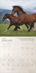 Alternative view 2 of 2026 Spirit Horses Wall Calendar by Tony Stromberg
