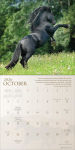 Alternative view 3 of 2026 Spirit Horses Wall Calendar by Tony Stromberg