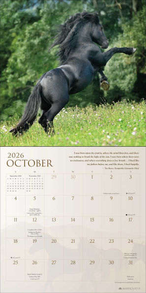 2026 Spirit Horses Wall Calendar by Tony Stromberg
