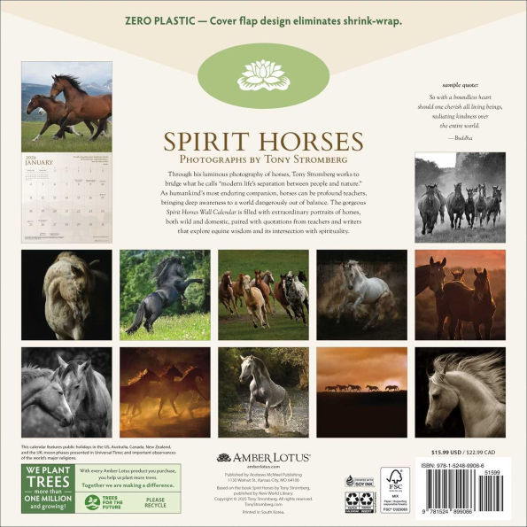 2026 Spirit Horses Wall Calendar by Tony Stromberg