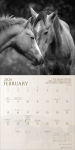 Alternative view 5 of 2026 Spirit Horses Wall Calendar by Tony Stromberg