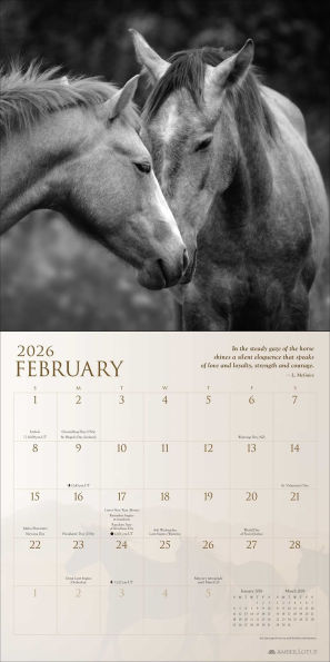 2026 Spirit Horses Wall Calendar by Tony Stromberg